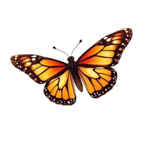 Butterfly — primal totem illustration