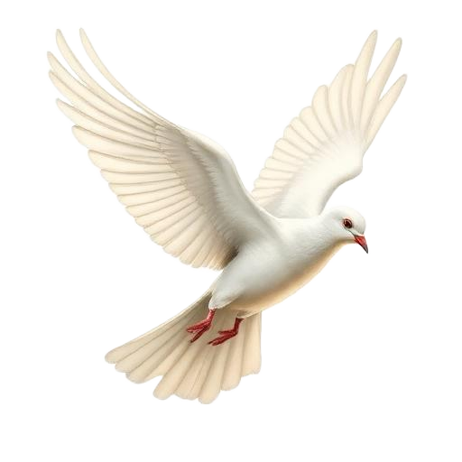 Dove — primal totem illustration