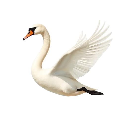 Swan — primal totem illustration
